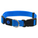 Obojok Active Dog Premium M modrý 2x34-49cm