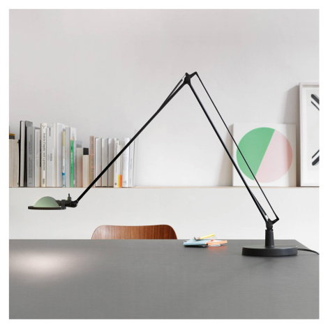 Luceplan Berenice stolná lampa 15cm, čierno-zelená