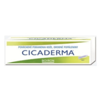 Boiron Cicaderma masť 30g