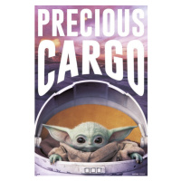 ME Plagát Star Wars: The Mandalorian - Precious Cargo 041