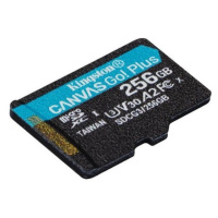 Kingston microSDXC Canvas Go!