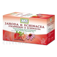 FYTO JAHODA & ECHINACEA