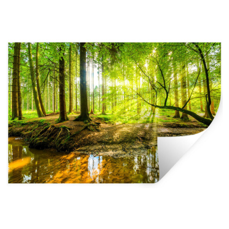 MuchoWow NÁLEPKA NA STENU Les - Krajina - Voda - Stromy - Slnko - Zelená - Príroda 120x80 cm