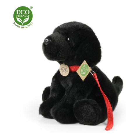 Plyšový labrador čierny s vodítkom 28 cm ECO-FRIENDLY