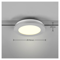 LED stropné svietidlo Camillus DUOline, Ø 17 cm, titán