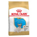 Royal Canin BHN FRENCH BULLDOG PUPPY granule pre šteňatá francúzskeho buldočka 3kg