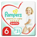 PAMPERS Premium Care Pants S6, 15+ kg 31 ks