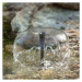 Esotec Solárna fontána Esotec WaterSplash 101013 10W / 610 l/h