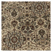 Kusový koberec Kashmir 2602 beige - 80x150 cm Ayyildiz koberce
