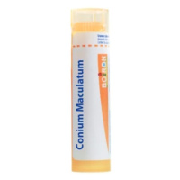 BOIRON Conium maculatum CH15 4 g