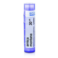 BOIRON Arnica montana CH30 4 g