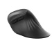 TRUST ergonomická vertikálna myš Verro Wireless Ergonomic Mouse, black