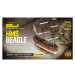 MINI MAMOLI HMS Beagle 1:121 kit