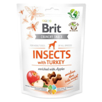 Pochúťka Brit Care Dog Crunchy Cracker Insocts, morka s jablkami 200g