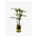Samozavlažovací kvetináč Balcony, v. 27cm, Ø22cm, číra/olivovo zelená - LSA international