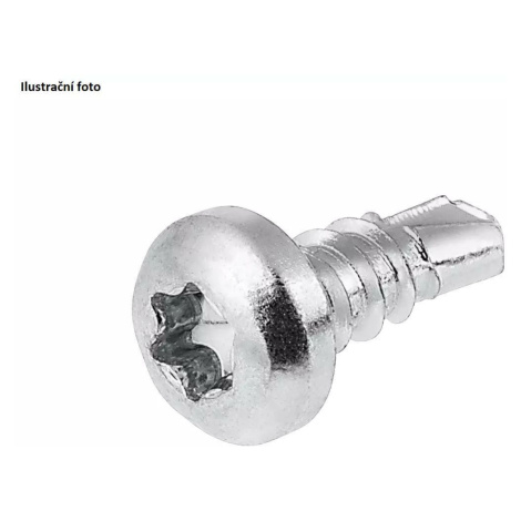 Vrtací šroub s plochou hlavou 3,9 x 13 mm (100 ks) Cimco