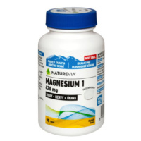 NATUREVIA Magnesium 420 mg 90 tabliet