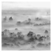 VLADILA Foggy Landscape Grey - tapeta