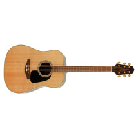 Takamine GD51-NAT