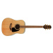 Takamine GD51-NAT