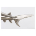 Dekoračná socha žralok AMEIS 70 cm Dekorhome Zlatá,Dekoračná socha žralok AMEIS 70 cm Dekorhome 