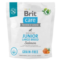 Krmivo Brit Care Dog Grain-free Junior Large Breed Salmon 1kg