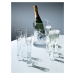 Pohár na šampanské Moya Cut, 170 ml, číry, set 2 ks - LSA International