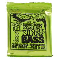 Ernie Ball 2852