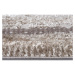 Koberec v béžovo-striebornej farbe 120x170 cm Shine Classic – Hanse Home