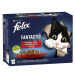 FELIX Fantastic cat Multipack v želé kapsičky pre mačky 12x85g