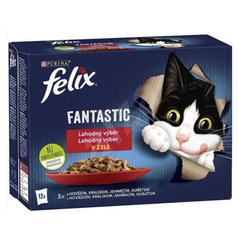 FELIX Fantastic cat Multipack v želé kapsičky pre mačky 12x85g