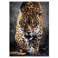 Clementoni Puzzle Jaguar 1000 dielikov