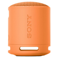 Sony SRS XB100 Grey