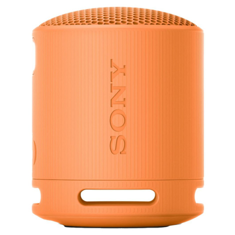 Sony SRS XB100 Grey