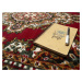 Kusový koberec Teheran Practica 58/CMC - 160x230 cm Alfa Carpets