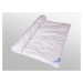 2G Lipov Letná posteľná súprava CIRRUS Microclimate Cool touch 100% bavlna - 135x200 / 70x90 cm