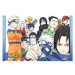 Viz Media Naruto Box Set 1: Volumes 1-27 with Premium