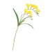 Umelá kvetina Frézia žltá, 57 cm