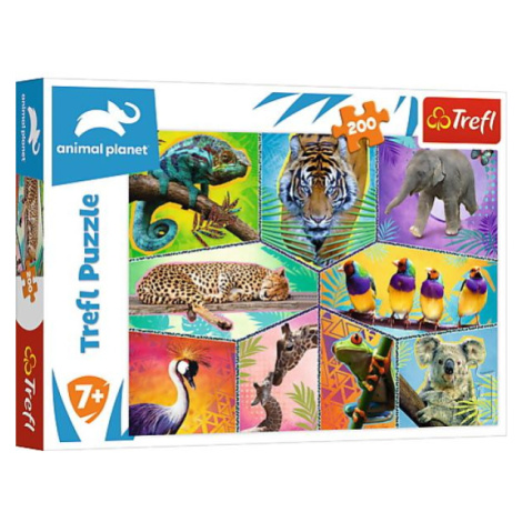 Trefl Puzzle 200 - V exotickom svete