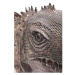 KARE DESIGN Dekoratívny predmet Iguana 135 cm