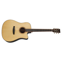 Tanglewood TJ 5 CE