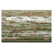 Kusový koberec Gloria 105521 Green Creme Rozmery kobercov: 200x290