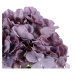 Pugét hortenzií fialová, 5 kvetov, 20 x 43 cm