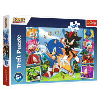 Trefl Puzzle Sonic Zoznámte sa s ježkom, 100 dielikov