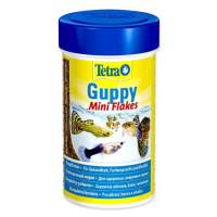 Krmivo Tetra Guppy Food 100ml