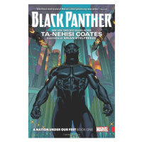 Marvel Black Panther: A Nation Under Our Feet Book 1