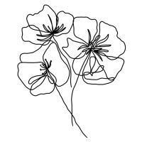 Plagát 29x41 cm Black Poppy – Veronika Boulová
