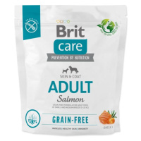 Krmivo Brit Care Dog Grain-free Adult Salmon 1kg