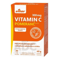 VITAR vitamín C 300 mg + rakytník + zinok