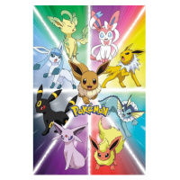 Plagát Pokemon - Eevee Evolution (74)